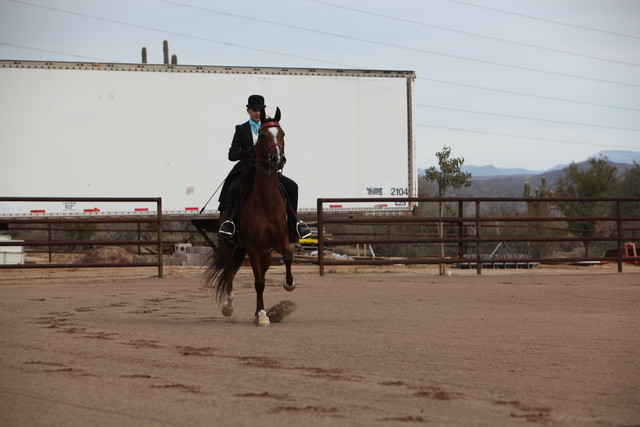 2012-2013 Farm Tours