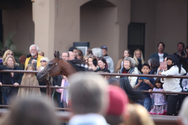 2012-2013 Farm Tours