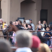 2012-2013 Farm Tours