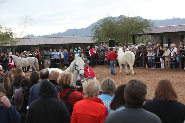 2012-2013 Farm Tours