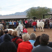 2012-2013 Farm Tours