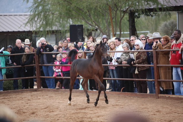 2012-2013 Farm Tours