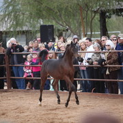 2012-2013 Farm Tours