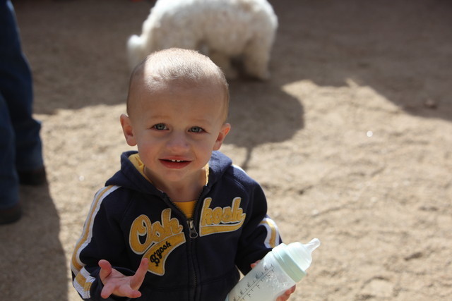 2012-2013 Farm Tours