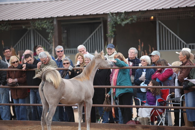 2012-2013 Farm Tours