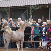 2012-2013 Farm Tours