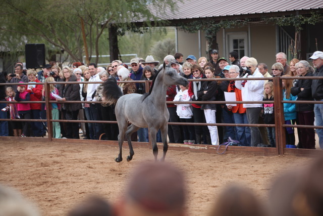 2012-2013 Farm Tours