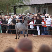 2012-2013 Farm Tours