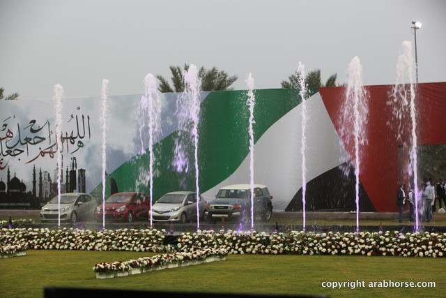 2013 Ajman Arabian Horse Show (day 1)