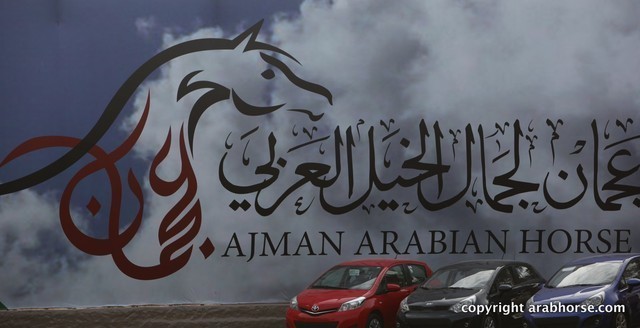 2013 Ajman Arabian Horse Show (day 1)