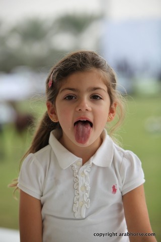 2013 Ajman Arabian Horse Show (day 1)