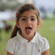 2013 Ajman Arabian Horse Show (day 1)