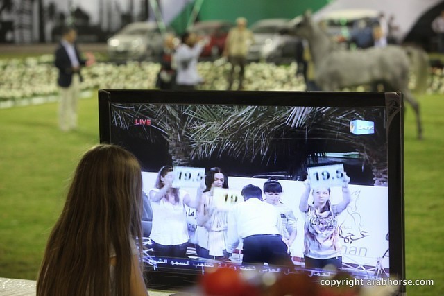 2013 Ajman Arabian Horse Show (day 1)