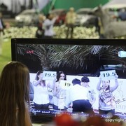 2013 Ajman Arabian Horse Show (day 1)