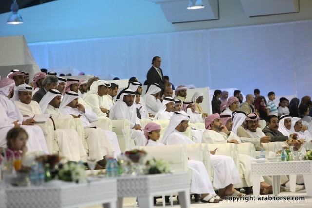 2013 Ajman Arabian Horse Show (day 1)