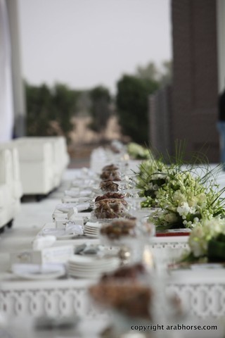 2013 Ajman Arabian Horse Show (day 1)