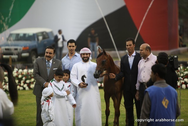 2013 Ajman Arabian Horse Show (day 1)