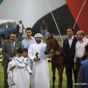 2013 Ajman Arabian Horse Show (day 1)
