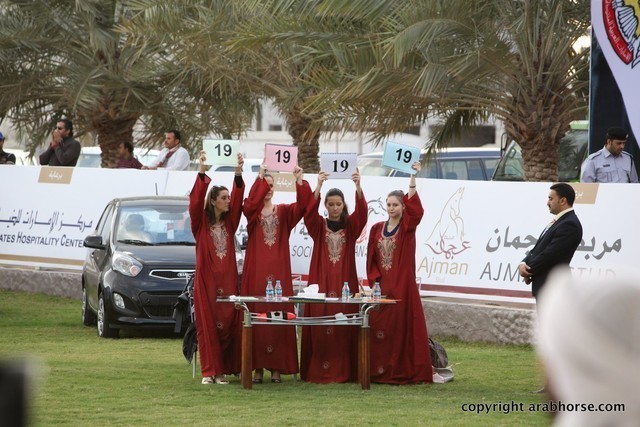 2013 Ajman Arabian Horse Show (day 2)
