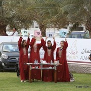 2013 Ajman Arabian Horse Show (day 2)