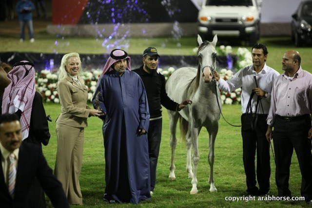 2013 Ajman Arabian Horse Show (day 2)