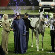 2013 Ajman Arabian Horse Show (day 2)