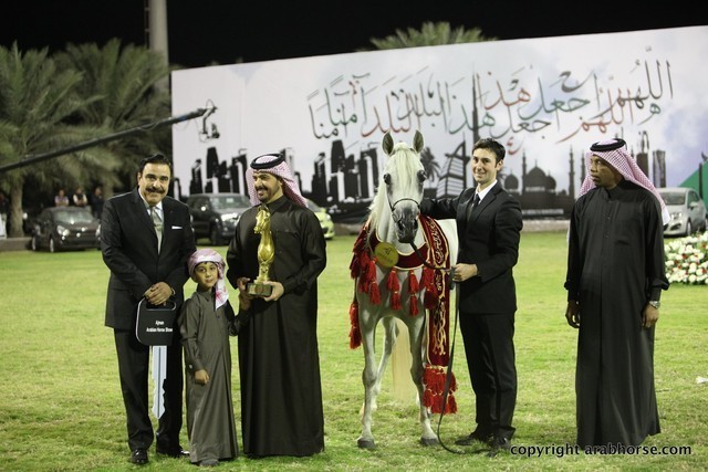 2013 Ajman Arabian Horse Show (day 3)