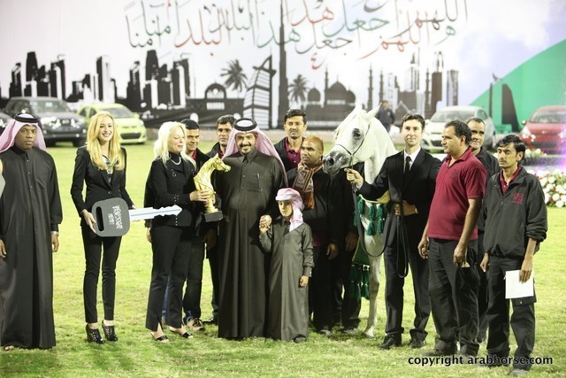 2013 Ajman Arabian Horse Show (day 3)