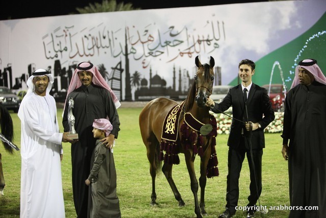 2013 Ajman Arabian Horse Show (day 3)