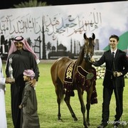 2013 Ajman Arabian Horse Show (day 3)
