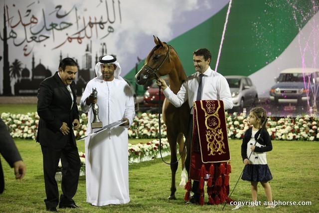 2013 Ajman Arabian Horse Show (day 3)