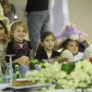 2013 Ajman Arabian Horse Show (day 3)