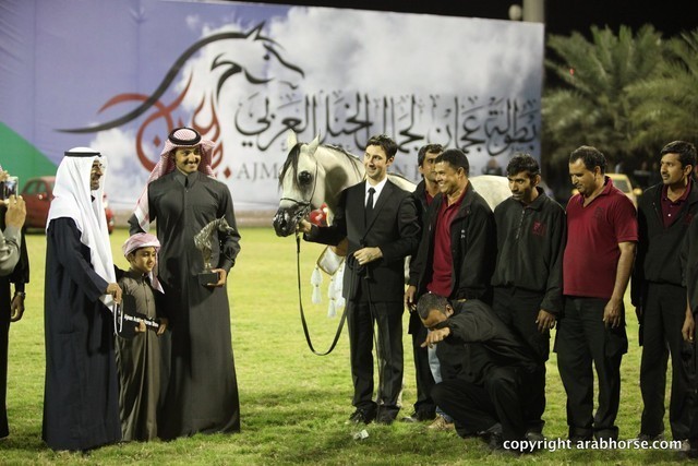 2013 Ajman Arabian Horse Show (day 3)