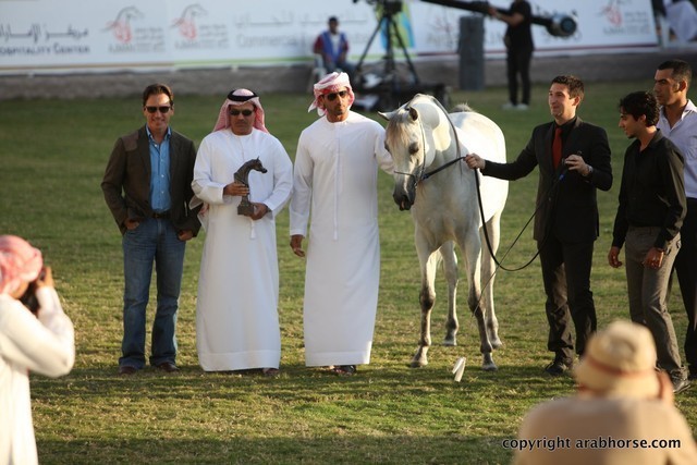2013 Ajman Arabian Horse Show (day 3)