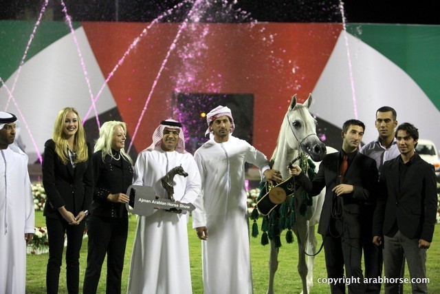 2013 Ajman Arabian Horse Show (day 3)