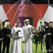 2013 Ajman Arabian Horse Show (day 3)