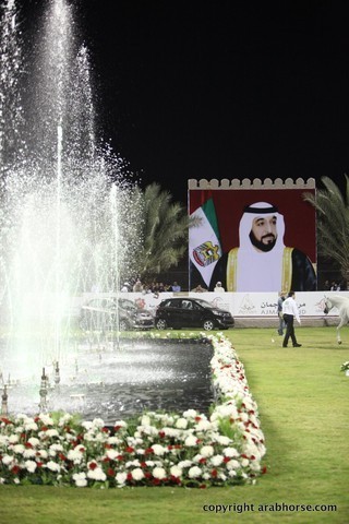 2013 Ajman Arabian Horse Show (day 3)