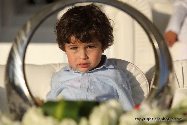 2013 Ajman Arabian Horse Show (day 3)