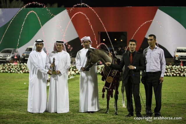 2013 Ajman Arabian Horse Show (day 3)