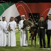 2013 Ajman Arabian Horse Show (day 3)