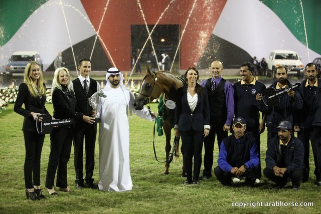 2013 Ajman Arabian Horse Show (day 3)