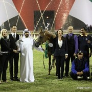 2013 Ajman Arabian Horse Show (day 3)