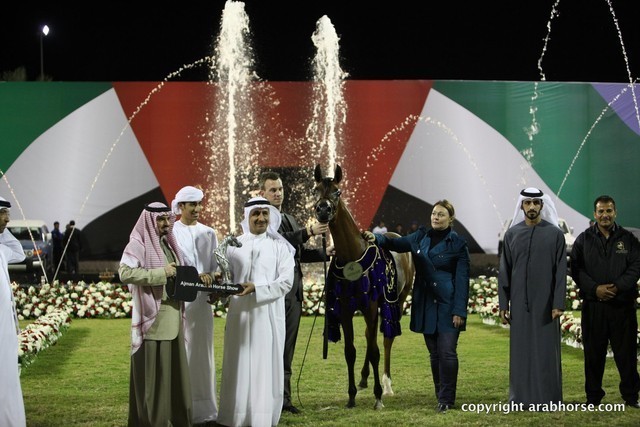 2013 Ajman Arabian Horse Show (day 3)