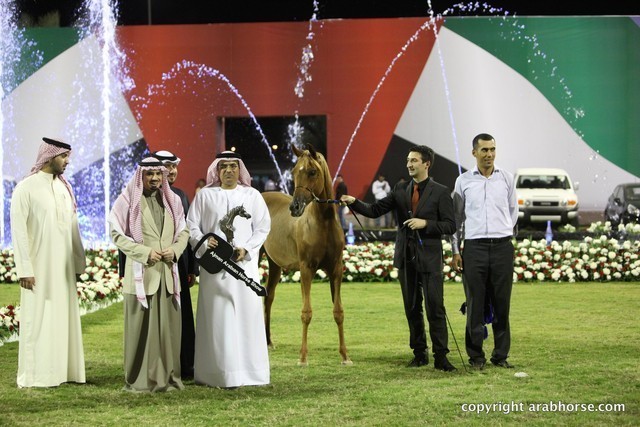 2013 Ajman Arabian Horse Show (day 3)