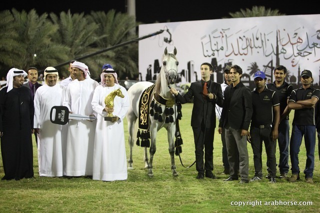 2013 Ajman Arabian Horse Show (day 3)