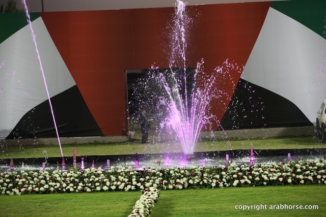 2013 Ajman Arabian Horse Show (day 3)