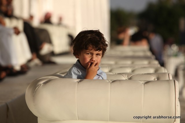 2013 Ajman Arabian Horse Show (day 3)