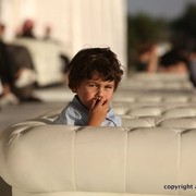 2013 Ajman Arabian Horse Show (day 3)