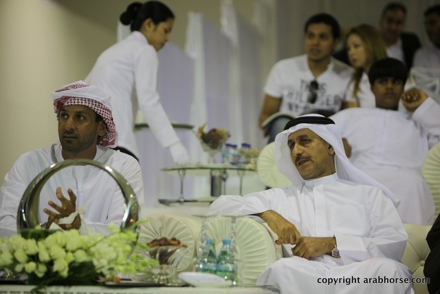 2013 Ajman Arabian Horse Show (day 3)