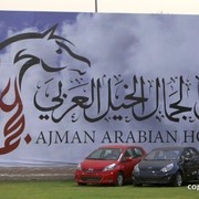 2013 Ajman Arabian Horse Show (day 3)